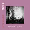 Nikos Papadiotis, Opus 4 & David Nachmias - Na to Paris - EP